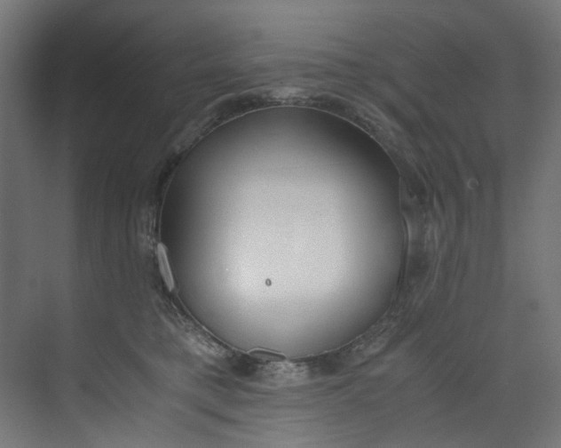 X0000073470421200608181336