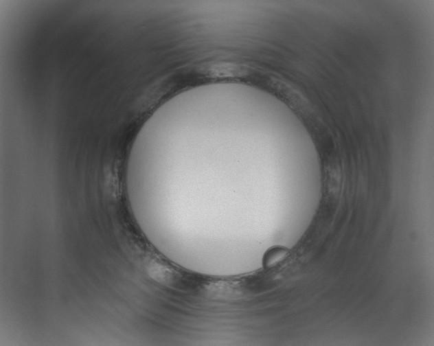 X0000073470422200608181336
