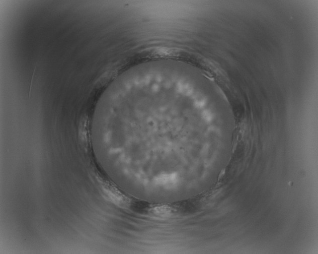 X0000073470423200608181336