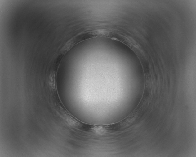 X0000073470425200608181336