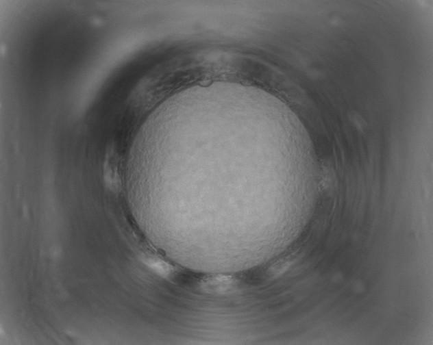 X0000073470431200608181336