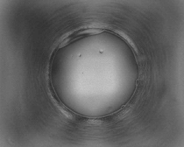 X0000073470437200608181335