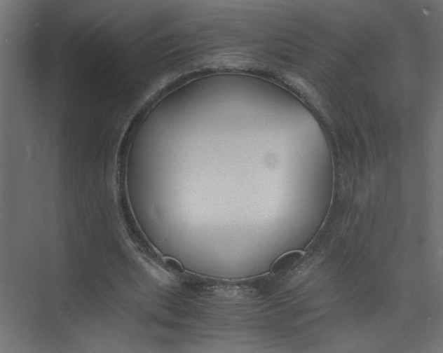 X0000073470439200608181335