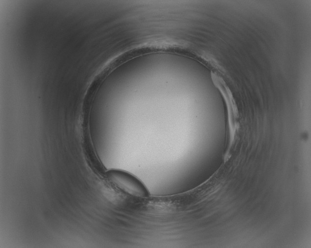 X0000073470440200608181335