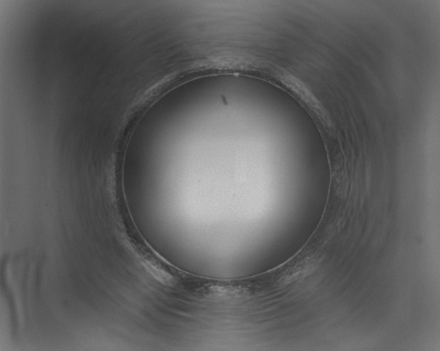 X0000073470442200608181335