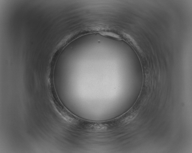 X0000073470443200608181335