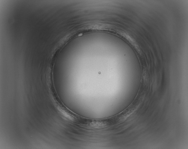 X0000073470445200608181335