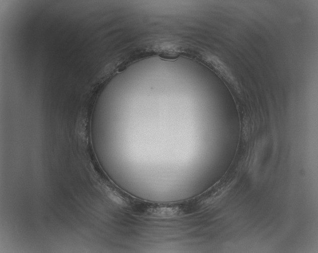 X0000073470449200608181335