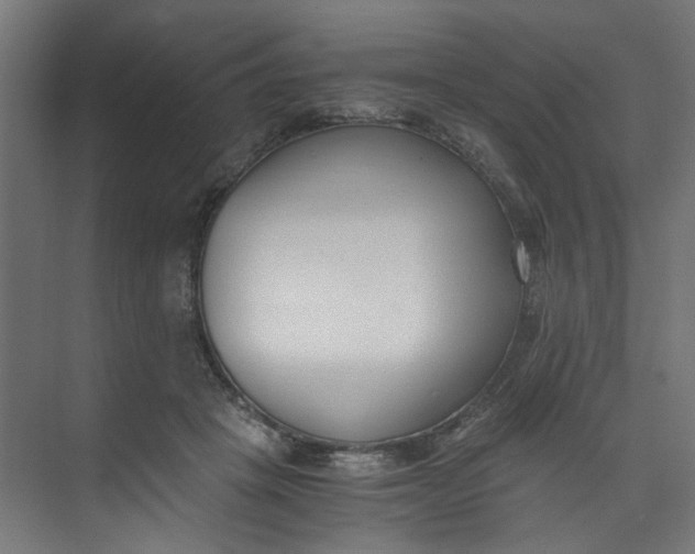 X0000073470457200608181335