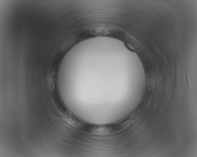 X0000073470460200608181335