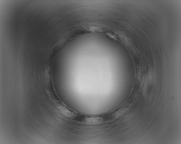 X0000073470461200608181335