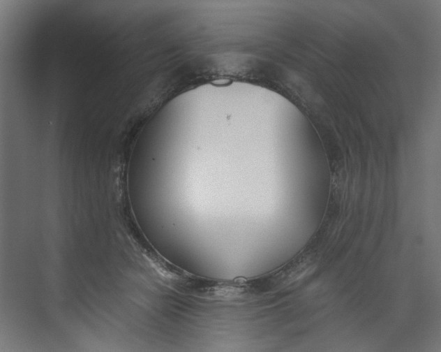 X0000073470462200608181335