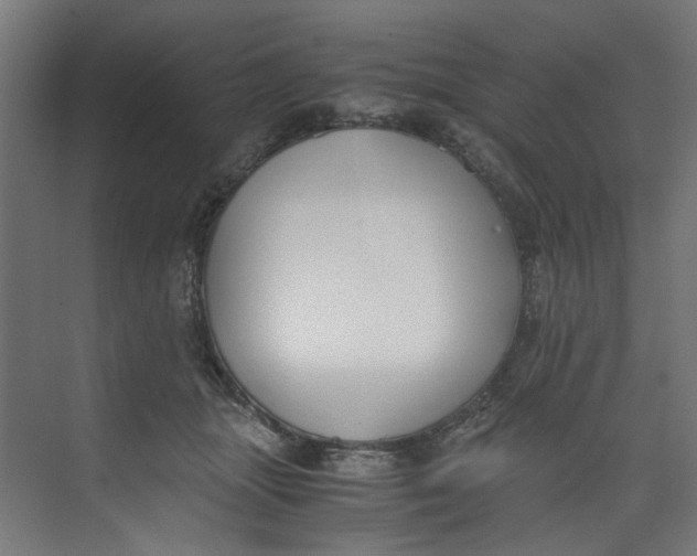 X0000073470463200608181335