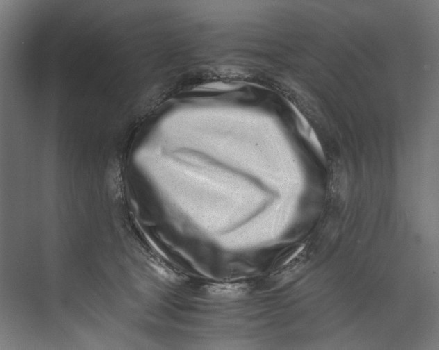 X0000073470465200608181335