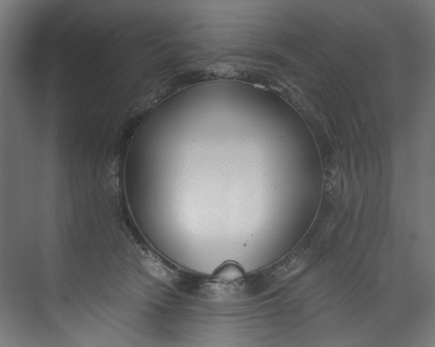 X0000073470466200608181335