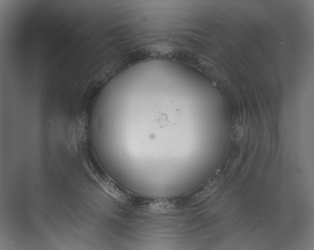X0000073470468200608181335