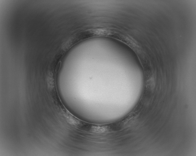 X0000073470469200608181335