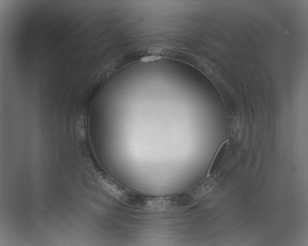 X0000073470470200608181336