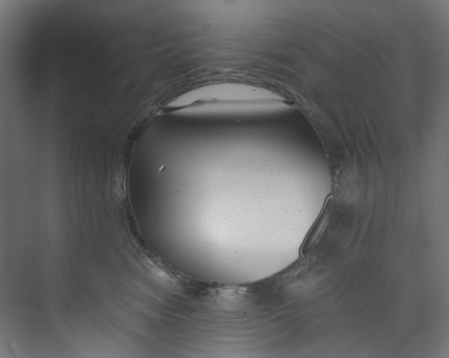X0000073470474200608181336
