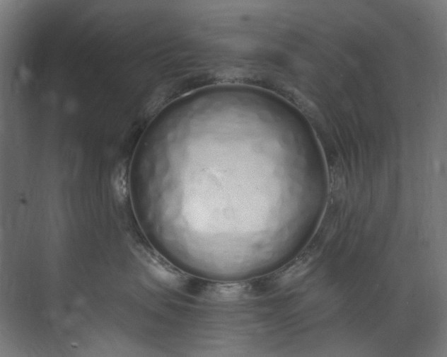 X0000073470479200608181336