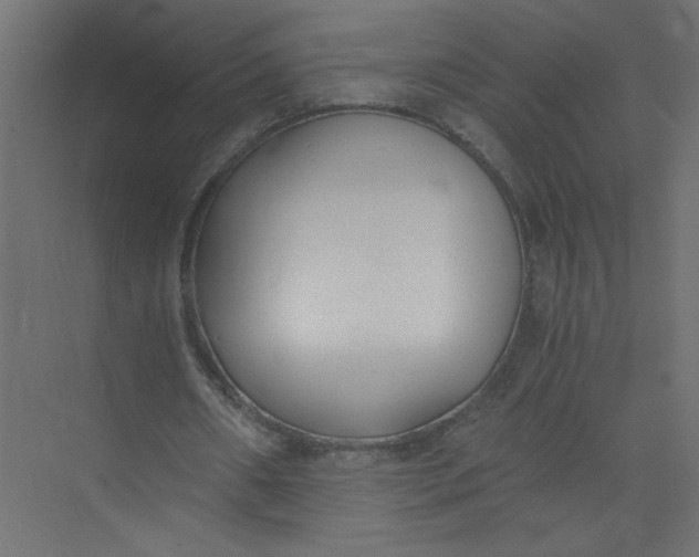 X0000073470482200608181335
