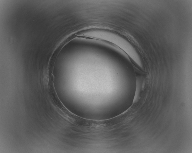 X0000073470484200608181335
