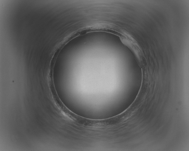 X0000073470485200608181335