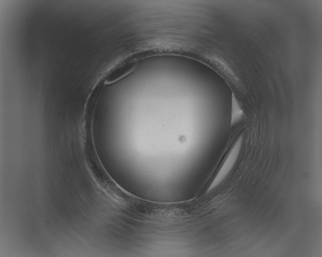 X0000073470488200608181335