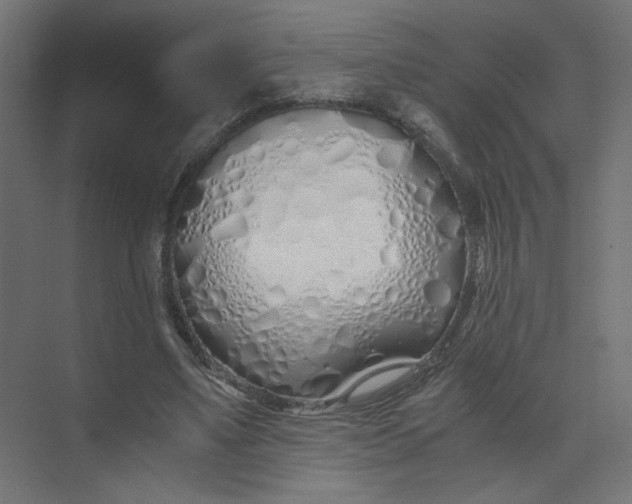 X0000073470491200608181335