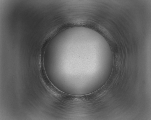X0000073470494200608181335