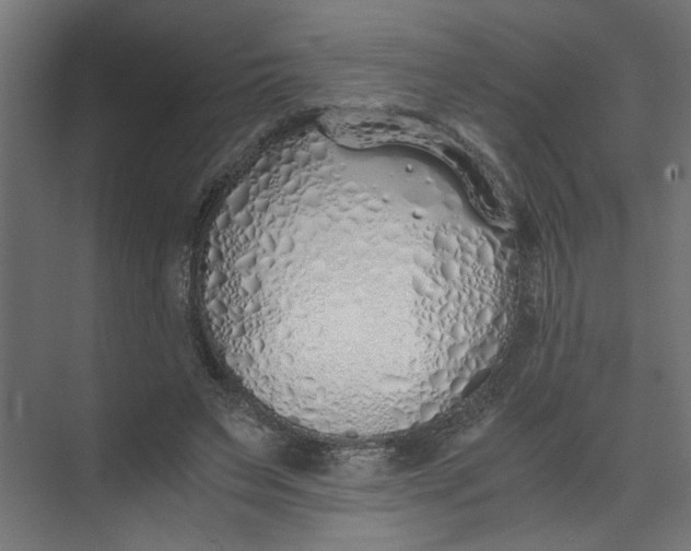 X0000073470495200608181335