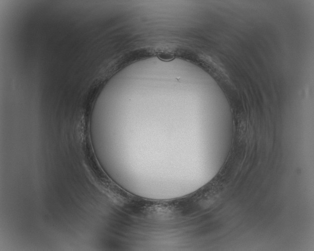 X0000073470498200608181335
