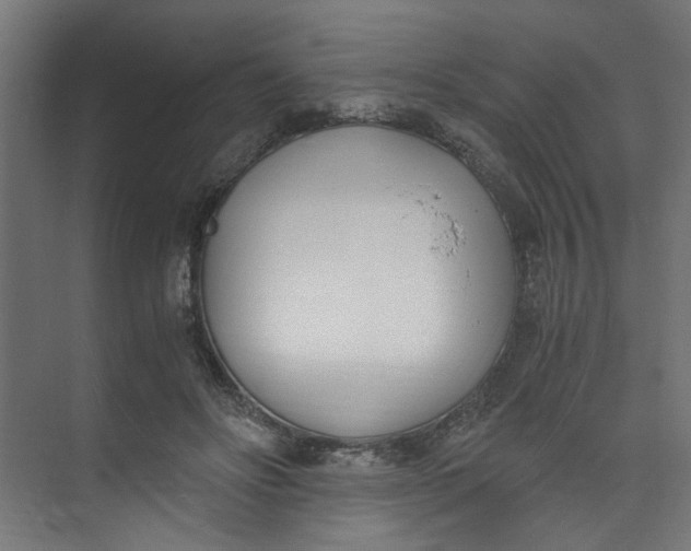 X0000073470502200608181335