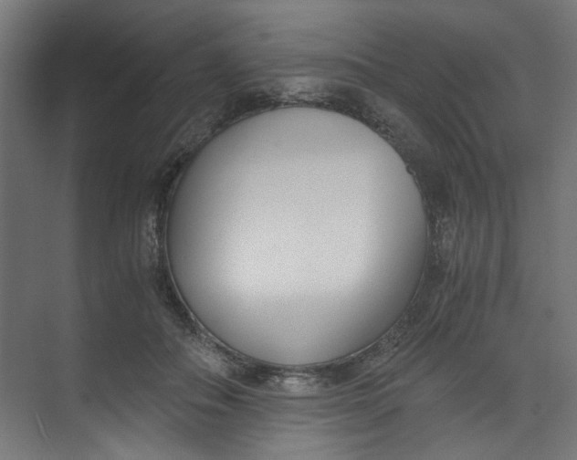 X0000073470506200608181334