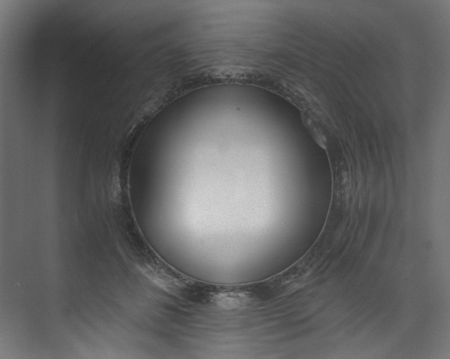 X0000073470508200608181334