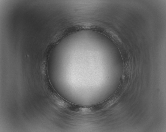 X0000073470509200608181334