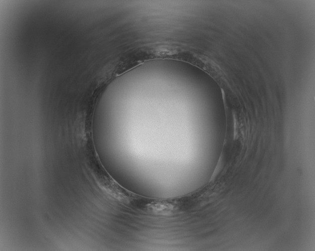 X0000073470512200608181334