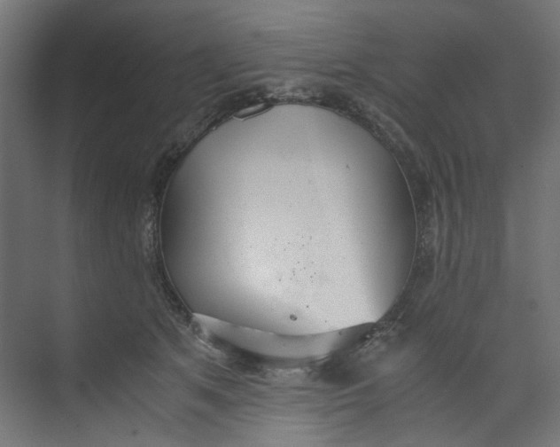 X0000073470513200608181334