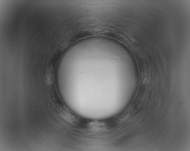 X0000073470515200608181334