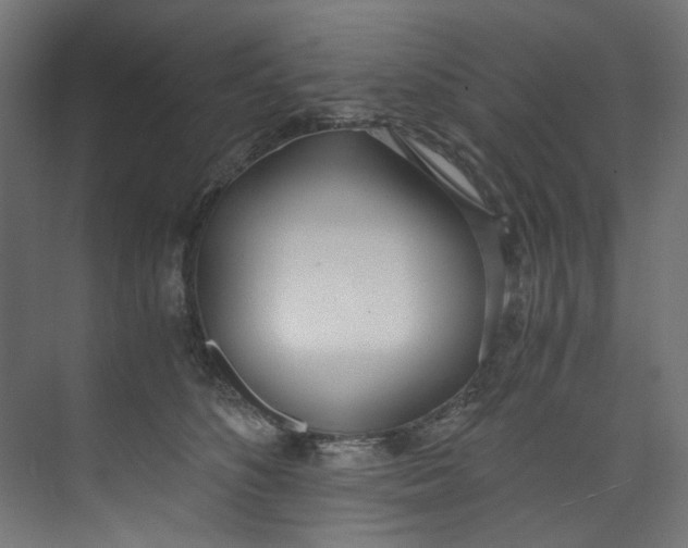 X0000073470516200608181334