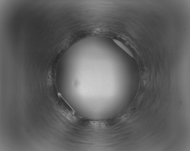 X0000073470520200608181334