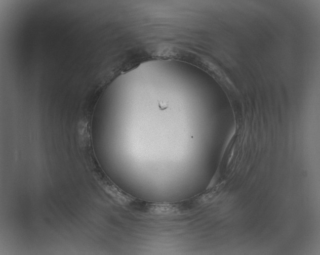 X0000073470521200608181334