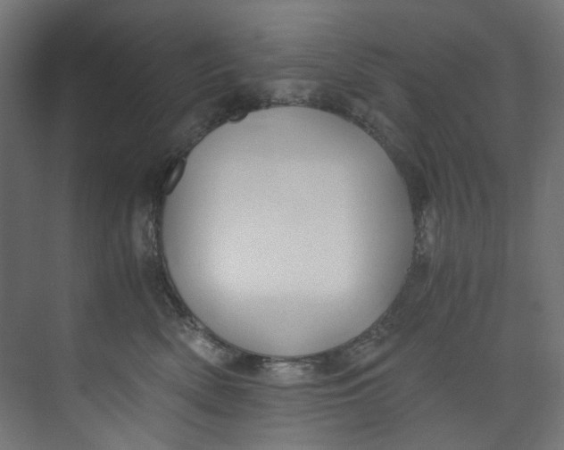 X0000073470522200608181334