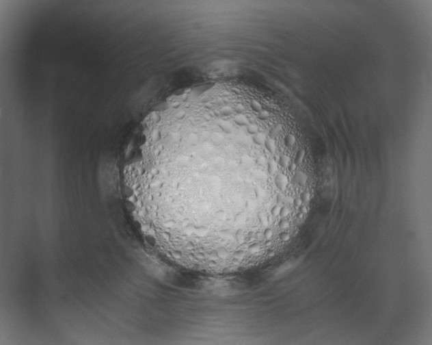 X0000073470523200608181334