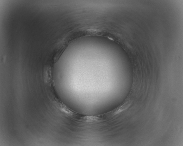 X0000073470528200608181334