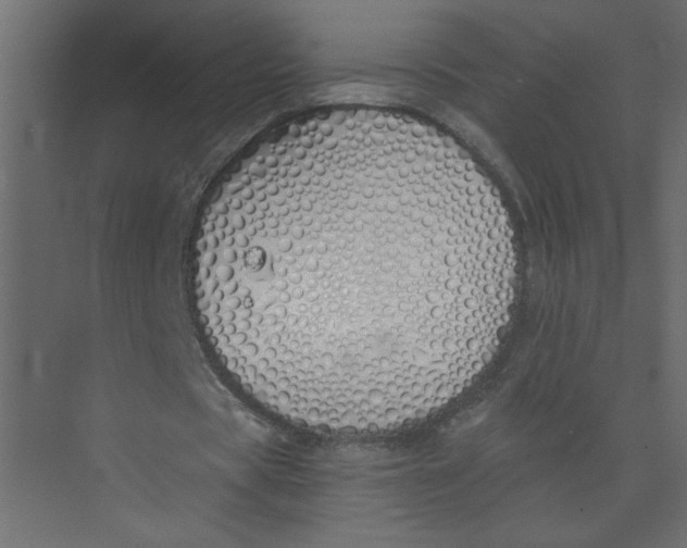 X0000073470529200608181333