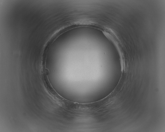 X0000073470531200608181333