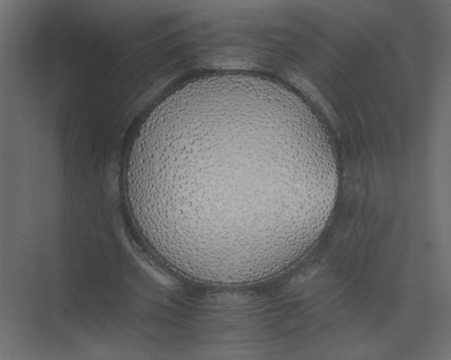 X0000073470533200608181333