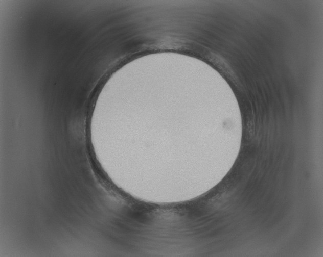 X0000073470534200608181333
