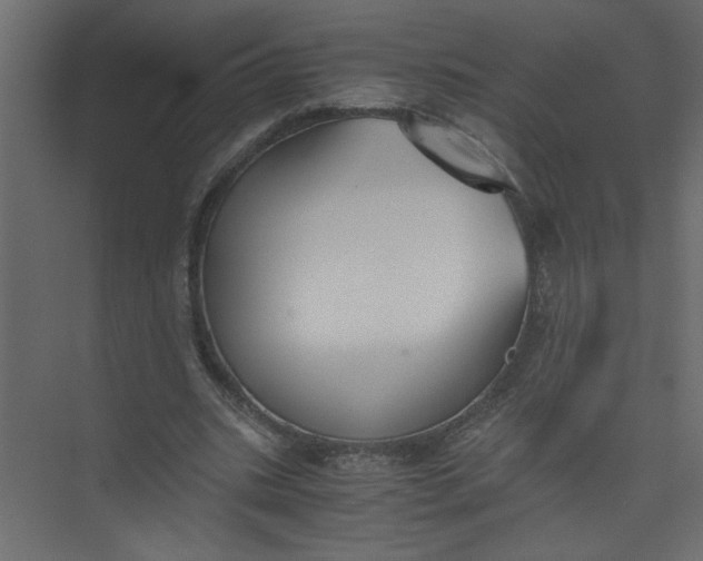 X0000073470535200608181333